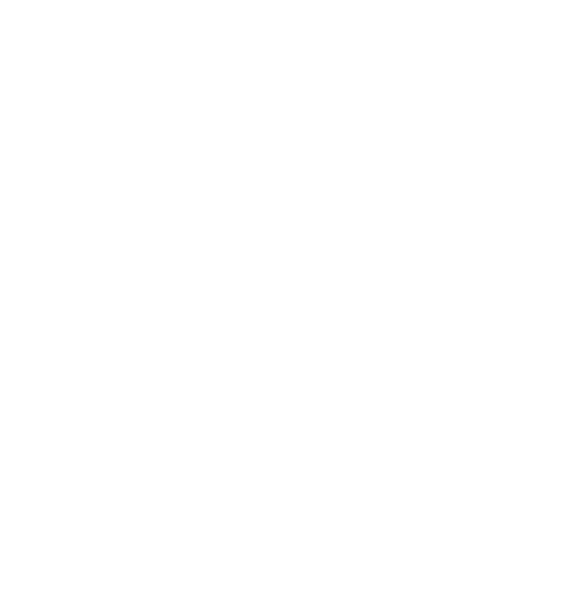 Synergy Group logo