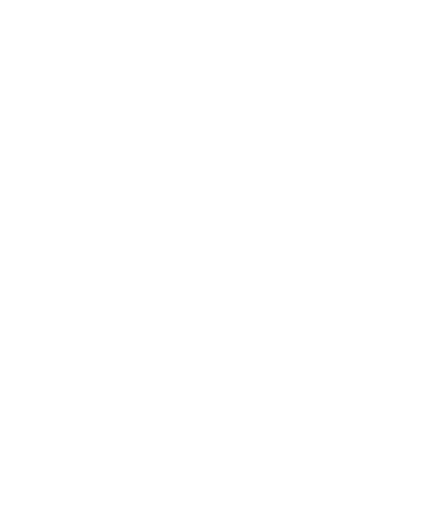 True and Fair logo