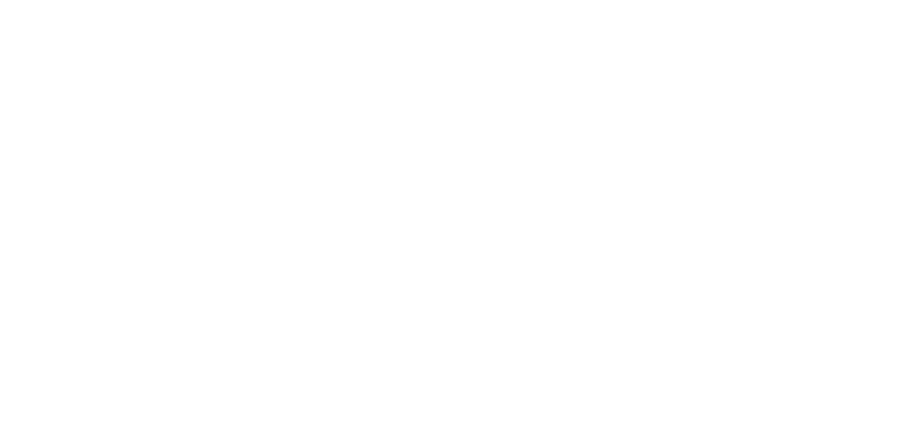 DBiz logo